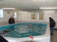I have often used the swimming pool in <a href="http://www.fynshundecenter.dk" title="Click here to be relayed to http://www.fynshundecenter.dk" target="_blank">Fyns Hundecenter</a>. It is very good exercise and a perfect environment for obedience training in water. Ths picture shows the center's certified dog masseur, Hanne Thiel Madsen, studying <a href="/ajaxhund.php?hund=Tidemark%20Jill" data-toggle="modal" data-target="#myModal" data-remote="false" >Tidemark Jill (Jill)</a>'s movements in the water. <span id="copyright">&copy;Ravensbank Labrador Retrievers</span>
