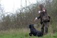 <a href="/ajaxhund.php?hund=Ravensbank%20Sir%20Lancelot" data-toggle="modal" data-target="#myModal" data-remote="false" >FRFTCH Ravensbank Sir Lancelot (Lance)</a> during the WTA Royal Canin 2012, at Mortagne-au-Perche on 31 March and 1 April 2012. Lance is owned and handled by Miss. Anne Besnard. <span id="copyright">&copy;GLORY Frédérique</span>