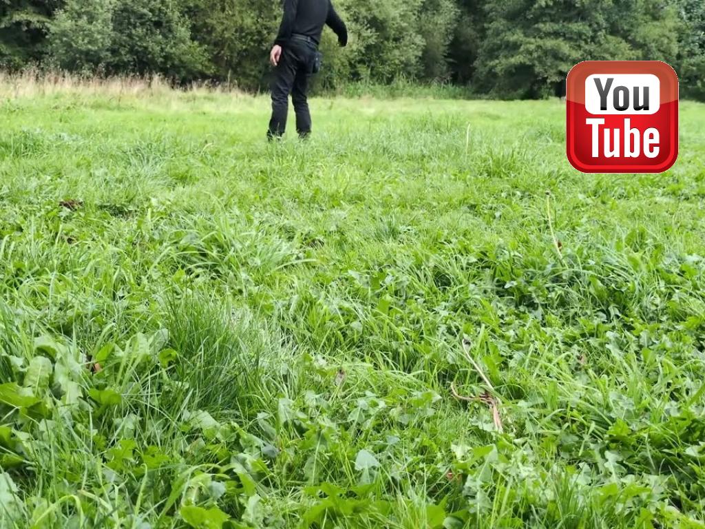 Ravensbank Holly (Holly) may have lost what she used to have in terms of style and speed, but her teamwork with me never fails. This is taken only one hour before she travels to dog heaven on 3 September 2025.&nbsp;&copy;Ravensbank Labrador Retrievers