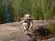 Take it easy.... It is quite a beast <a href="/ajaxhund.php?hund=Ravensbank%20Tip" data-toggle="modal" data-target="#myModal" data-remote="false" >FI KVA, SE KVA Ravensbank Tip (Tipi)</a> is retrieving here. But of course no problem. <span id="copyright">&copy;Viola Sundvik, Finland</span>